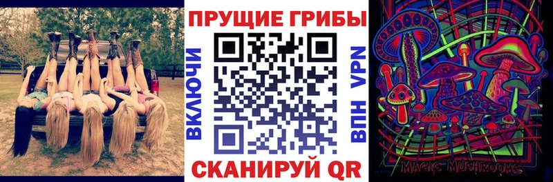 сколько стоит  Нефтекамск  Галлюциногенные грибы Psilocybe 